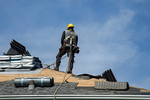 Professional Roofing technician working in Scales Mound, IL